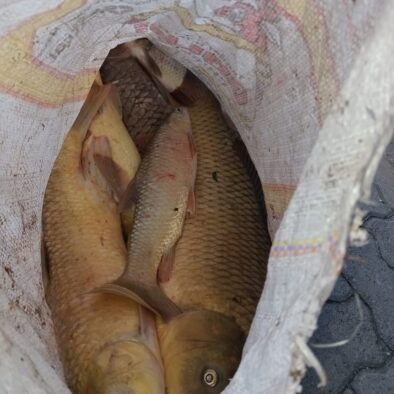 fishing-at-riverbend-berg-lodge